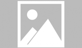 爸爸之爱动漫,温情脉脉的亲子羁绊动画之旅